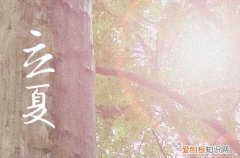 2023年立夏有什么风俗活动 2023年立夏的民间风俗有哪些