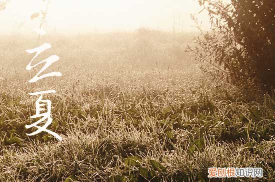 2023立夏下雨了吗 2023立夏下雨有什么说法