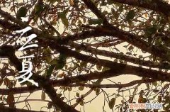 2023年立夏是几时几分几秒 2023年多久立夏