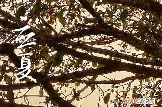 2023年立夏是几时几分几秒 2023年多久立夏