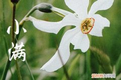 小满节气发的说说 小满节气发微信朋友圈文案