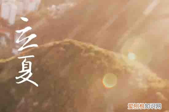 2023立夏热夏天是不是热 立夏热好还是不热好