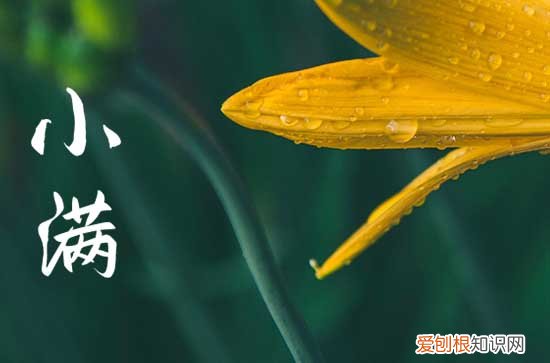 2023小满过后是初夏吗 小满过后是什么季节