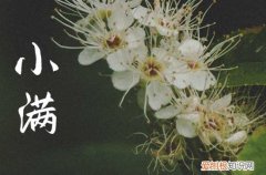 2023小满之后天气是冷是热 小满时节气温方面有什么变化