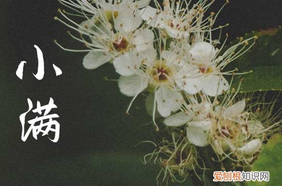 2023小满之后天气是冷是热 小满时节气温方面有什么变化