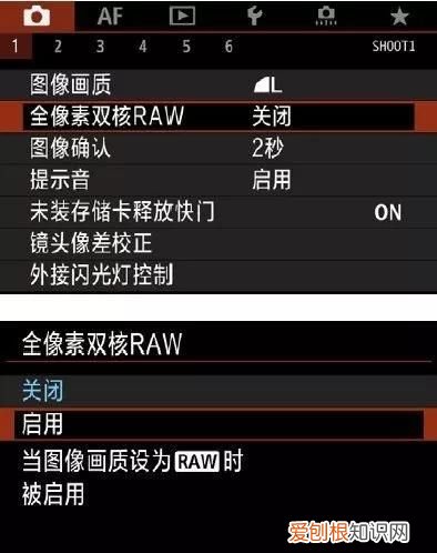 全像素双核raw是什么意思，佳能r5全像素双核raw的作用