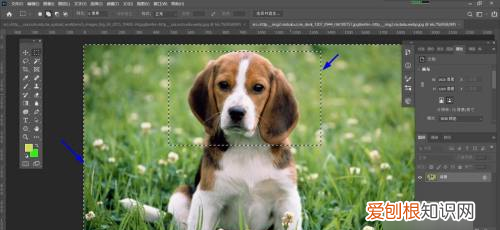 ps咋地才可以反选，ps钢笔反选的快捷键是什么