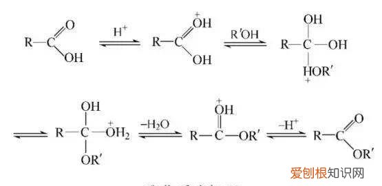 酯在水解中能生成酸与醇，酯的水解为什么可以用于制取醇类物质