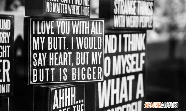 分红前一天买入股票能分,除权除息日前一天买入有分红吗