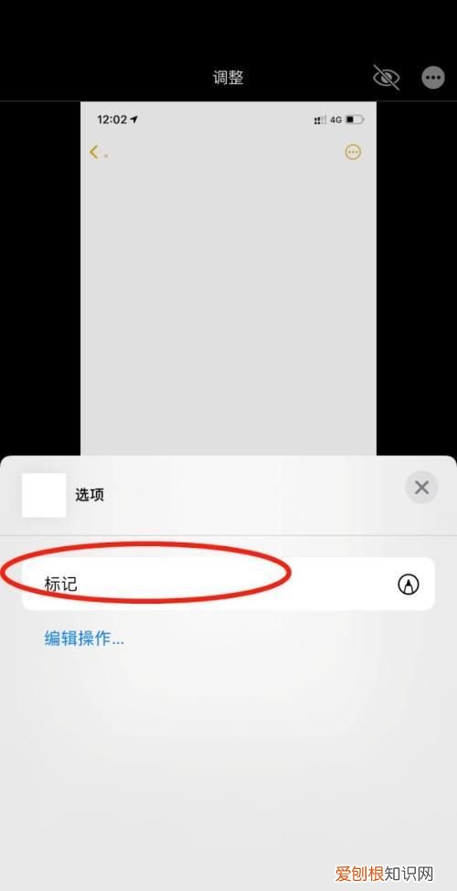 拍的怎么加文字，苹果相册怎么添加文字