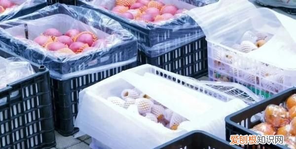 深圳荔枝免费吃的大学