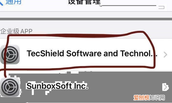 如何设置信任苹果软件,怎么设置信任app苹果手机