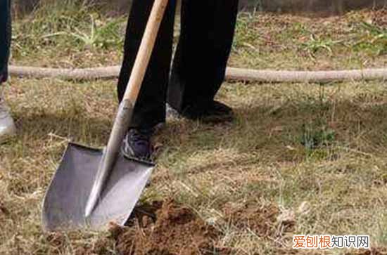 2023年车管所五一上班吗