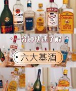 六大基酒的基本知识