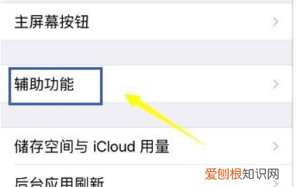 苹果小圆点要怎样设置，苹果手机屏幕上的小圆点怎么打开