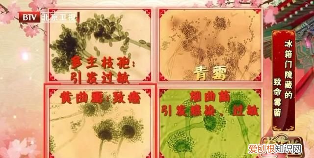 这6种食物别放冰箱会产生致癌物