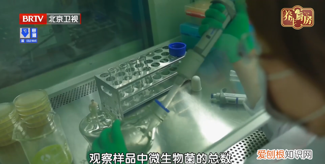 这6种食物别放冰箱会产生致癌物