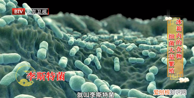 这6种食物别放冰箱会产生致癌物