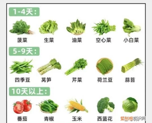 这6种食物别放冰箱会产生致癌物