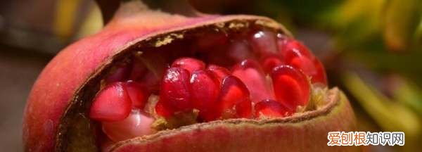 石榴寓意什么意思，石榴的寓意和象征