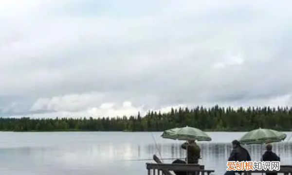 十米鱼竿用多大漂，十一米鱼竿用几号鱼漂合适