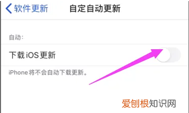 苹果自动更新系统怎么关，苹果手机怎么关闭自动更新系统升级