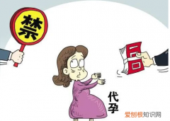 代怀生子需要多少钱，代孕什么意思 赶紧来看看