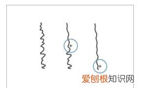 cdr形状工具在哪里，cdr常见图形在哪里