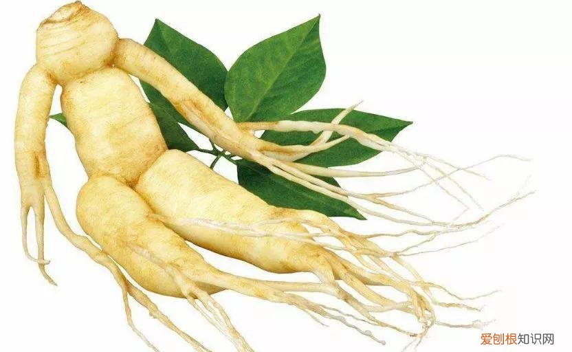 美肤宝套装多少钱一套？