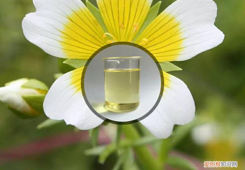 美肤宝套装多少钱一套？