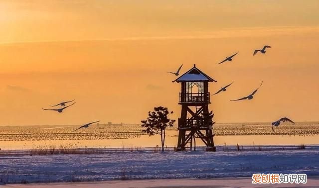 国威酱酒53度多少钱一瓶