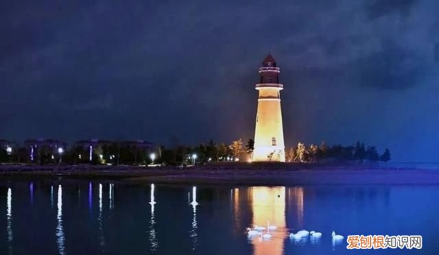 国威酱酒53度多少钱一瓶