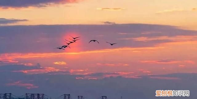 国威酱酒53度多少钱一瓶