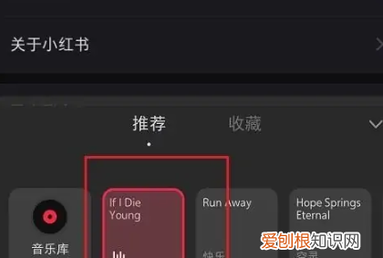 小红书怎么发布笔记，《小红书》发布图文笔记方法有哪些