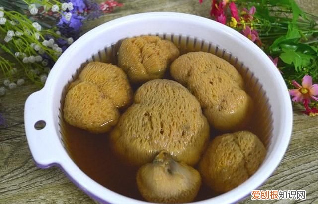 猴头菇怎么做才养胃 猴头菇怎么做菜做什么菜好吃