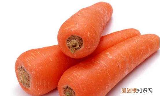 金丝熊吃什么水果，金丝熊能吃什么水果