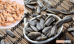 金丝熊吃什么水果，金丝熊能吃什么水果