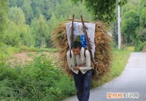 九灾是哪九灾,男人怕九女人怕七是什么意思