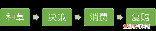 拼小圈来了!拼多多要对你们下手了吗