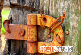 为什么暖宝宝撕开就会发热 暖宝宝为什么能发热