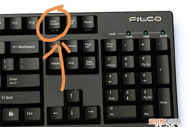 网课期间如何用钉钉拍照上传作业