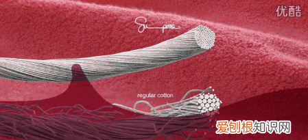 都是纯棉,50块和5000块的差别真有那么大吗
