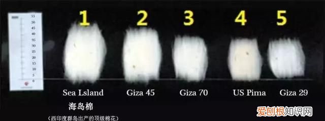 都是纯棉,50块和5000块的差别真有那么大吗