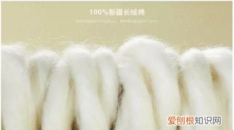 都是纯棉,50块和5000块的差别真有那么大吗