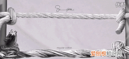 都是纯棉,50块和5000块的差别真有那么大吗