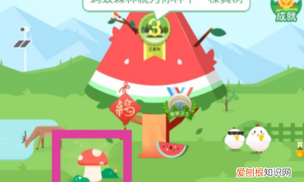 支付宝蚂蚁森林小卖部入口是什么 支付宝蚂蚁森林 如何隐藏小卖部入口 4月07日最新整理发布