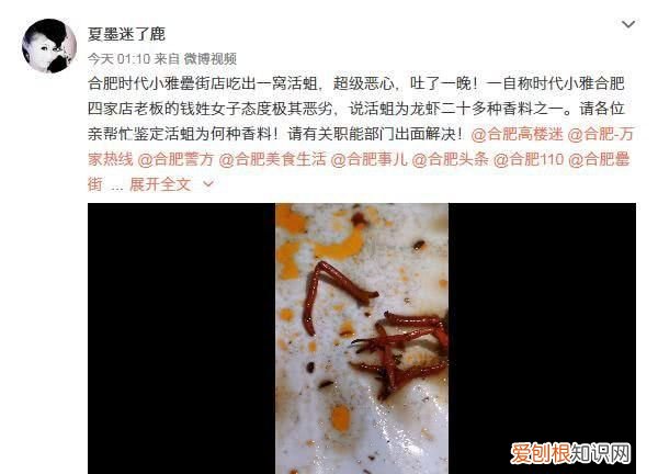 厕所有蛆虫怎么办，卫生间下水道有蛆爬出来是什么原因