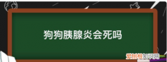狗狗胰腺炎会死，狗狗得了胰腺炎会死吗