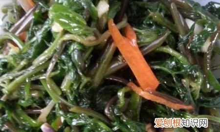 东北大叶芹怎么吃，东北山野菜——炝拌大叶芹的做法