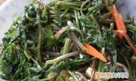 东北大叶芹怎么吃，东北山野菜——炝拌大叶芹的做法